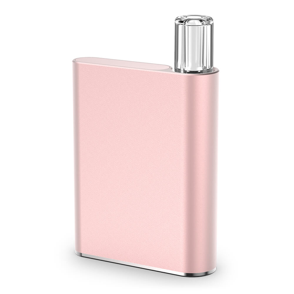 CCELL Palm Akku 550mAh + Ladegerät
